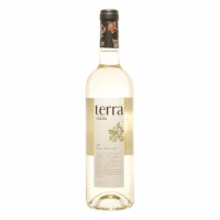 Vino blanco joven macabeo Terra D.O. Cataluña 75 cl.