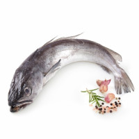 Pescadilla 1,7 kg aprox Pescadilla 1,7 kg aprox