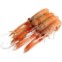 Cigala descongelada nº 1, al peso, compra mínima 500 g Cigala descongelada nº 1, al peso, compra mínima 500 g