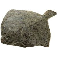 Rodaballo 1-2 kg PRODEMAR, pieza al peso aprox. 1.8 kg Rodaballo 1-2 kg PRODEMAR, pieza al peso aprox. 1.8 kg