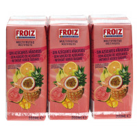 Bebida FROIZ multifrutas sin azúcares añadidos minibrik 6x200 ml