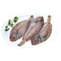 Gallo-Rapante de costa kg Gallo-Rapante de costa kg