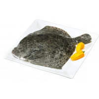 Rodaballo kg Rodaballo kg