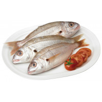 Aligote-Bicudo kg Aligote-Bicudo kg