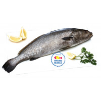 Corvina kg Corvina kg