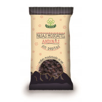 Pasas EL NOGAL Moscatel sin pepita 250 g Pasas EL NOGAL Moscatel sin pepita 250 g
