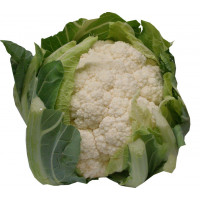 Coliflor u Coliflor u