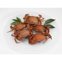 Nécora grande kg Nécora grande kg