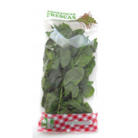 Hierbabuena 35g Hierbabuena 35g