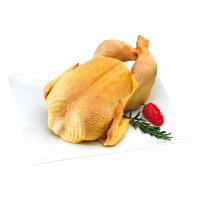 Pollo limpio-extra kg