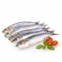 Sardinas 1 kg aprox