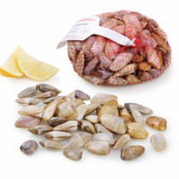 Coquinas frescas 500 g