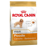ROYAL CANIN pienso para perros adultos Poodle bolsa 1,5 kg