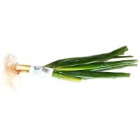Sofrito balear, bandeja 250 g