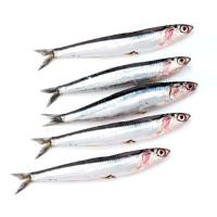 Anchoa del Mediterráneo, al peso, compra mínima 500 g