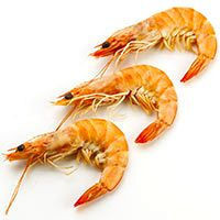 Langostino cocido 30-40, bandeja aprox.