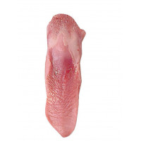 Lengua cerdo frescas-refrigerada kg