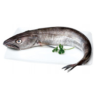 Merluza-Merluza volanta 1-2 kg