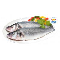 Maragota kg