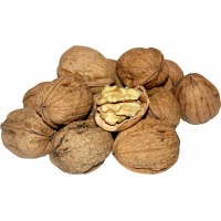 Nuez Pizarro kg