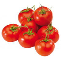 Tomate rama kg