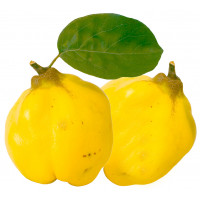 Membrillo kg