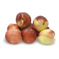 Nectarina blanca kg