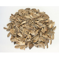 Pipas girasol aguasal gigantes kg