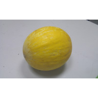 Melón BOLLO amarillo kg