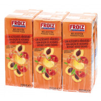 Bebida Froiz melocotón sin azúcares añadidos minibrik 6x200 ml