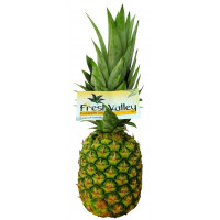 Piña maduración lenta AMBAR kg